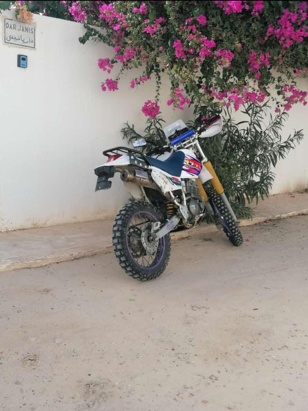 Apartament Dar Janis Djerba دار يانيس جربة Houmt Souk  Zewnętrze zdjęcie